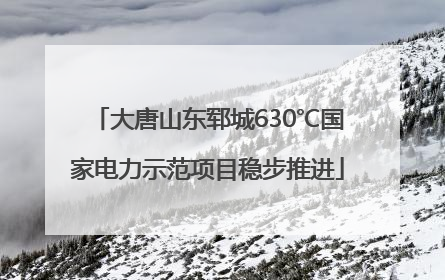大唐山东郓城630℃国家电力示范项目稳步推进