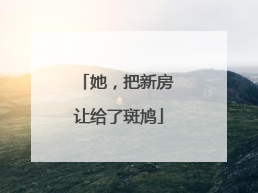 她，把新房让给了斑鸠