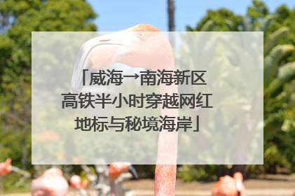 威海→南海新区 高铁半小时穿越网红地标与秘境海岸