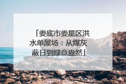 娄底市娄星区洪水单屋场：从煤灰蔽日到绿意盎然