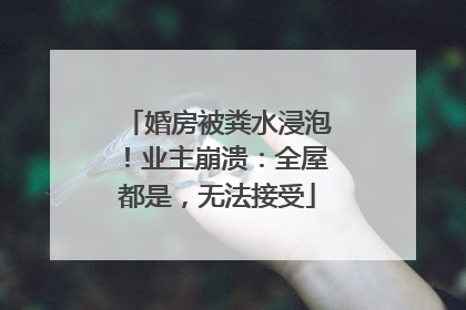 婚房被粪水浸泡！业主崩溃：全屋都是，无法接受