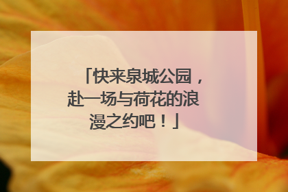 快来泉城公园，赴一场与荷花的浪漫之约吧！