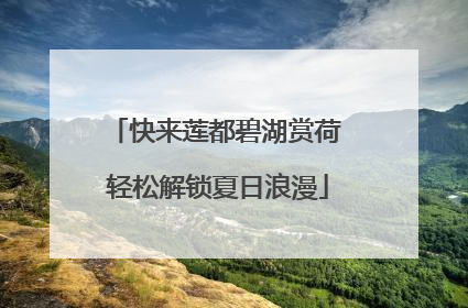 快来莲都碧湖赏荷 轻松解锁夏日浪漫
