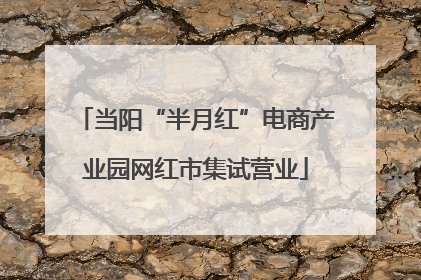 当阳“半月红”电商产业园网红市集试营业