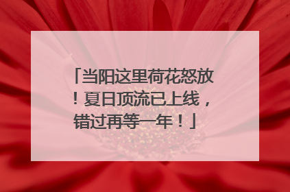 当阳这里荷花怒放！夏日顶流已上线，错过再等一年！
