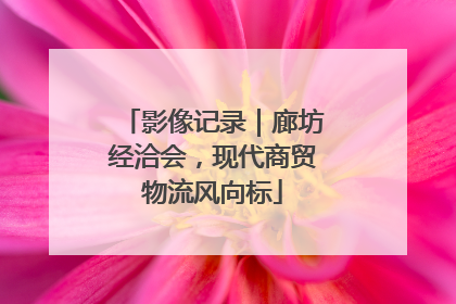 影像记录｜廊坊经洽会，现代商贸物流风向标
