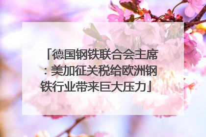 德国钢铁联合会主席：美加征关税给欧洲钢铁行业带来巨大压力