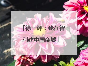 徐一评：我在智利建中国商城