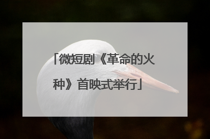 微短剧《革命的火种》首映式举行