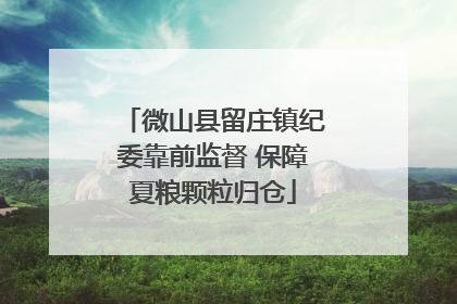 微山县留庄镇纪委靠前监督 保障夏粮颗粒归仓