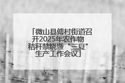 微山县傅村街道召开2025年农作物秸秆禁烧暨“三夏”生产工作会议