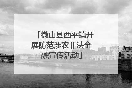 微山县西平镇开展防范涉农非法金融宣传活动