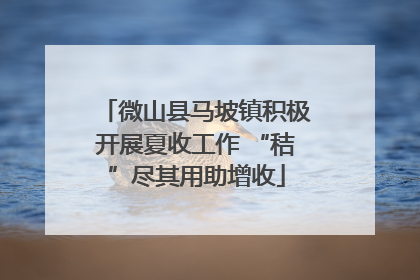 微山县马坡镇积极开展夏收工作 “秸”尽其用助增收