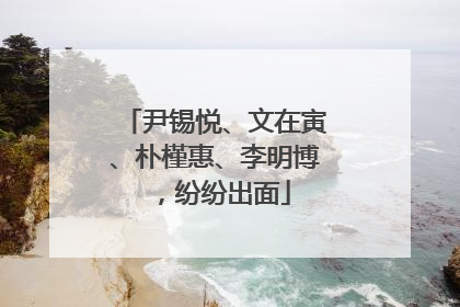 尹锡悦、文在寅、朴槿惠、李明博，纷纷出面