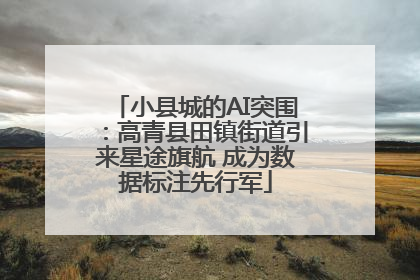 小县城的AI突围：高青县田镇街道引来星途旗航 成为数据标注先行军