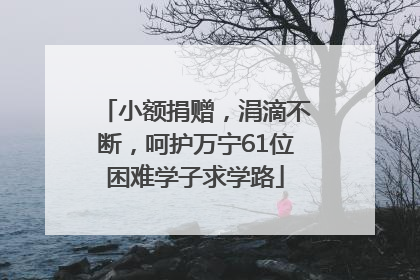 小额捐赠，涓滴不断，呵护万宁61位困难学子求学路