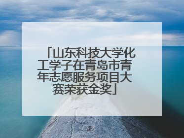 山东科技大学化工学子在青岛市青年志愿服务项目大赛荣获金奖