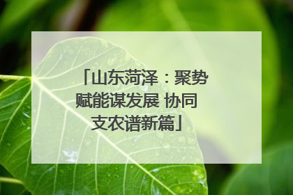 山东菏泽：聚势赋能谋发展 协同支农谱新篇