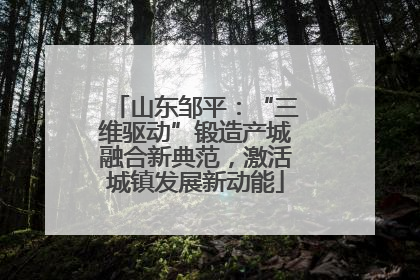 山东邹平：“三维驱动”锻造产城融合新典范，激活城镇发展新动能