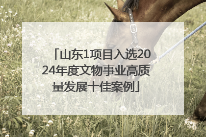 山东1项目入选2024年度文物事业高质量发展十佳案例