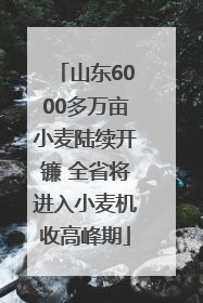 山东6000多万亩小麦陆续开镰 全省将进入小麦机收高峰期