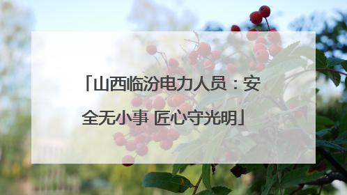 山西临汾电力人员：安全无小事 匠心守光明