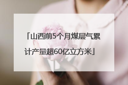 山西前5个月煤层气累计产量超60亿立方米