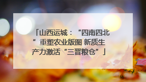 山西运城：“四南四北”重塑农业版图 新质生产力激活“三晋粮仓”