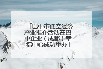 巴中市低空经济产业推介活动在巴中企业（成都）幸福中心成功举办