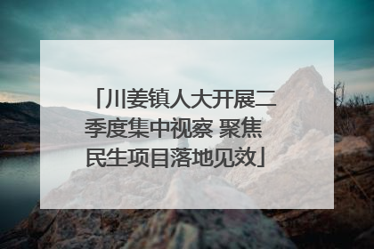 川姜镇人大开展二季度集中视察 聚焦民生项目落地见效