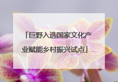 巨野入选国家文化产业赋能乡村振兴试点