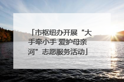 市枢纽办开展“大手牵小手 爱护母亲河”志愿服务活动