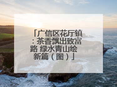 广信区花厅镇：茶香飘出致富路 绿水青山绘新篇（图）