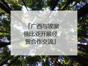 广西与埃塞俄比亚开展经贸合作交流