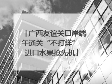 广西友谊关口岸端午通关“不打烊” 进口水果抢先机