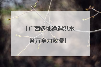 广西多地遭遇洪水 各方全力救援