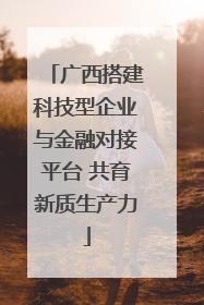 广西搭建科技型企业与金融对接平台 共育新质生产力