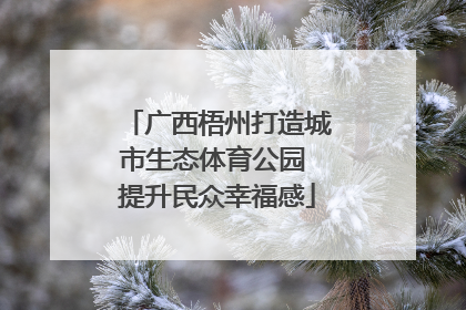广西梧州打造城市生态体育公园 提升民众幸福感