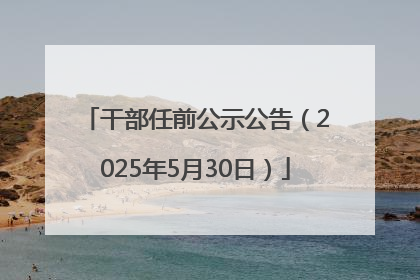 干部任前公示公告（2025年5月30日）