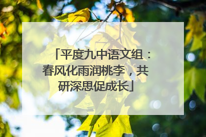 平度九中语文组：春风化雨润桃李，共研深思促成长