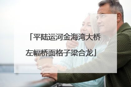 平陆运河金海湾大桥左幅桥面格子梁合龙