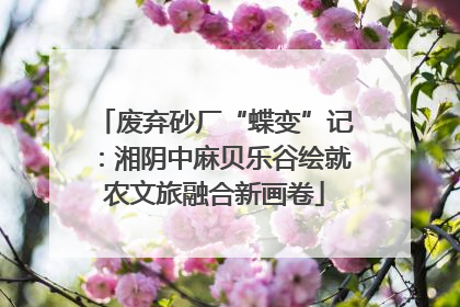 废弃砂厂“蝶变”记：湘阴中麻贝乐谷绘就农文旅融合新画卷