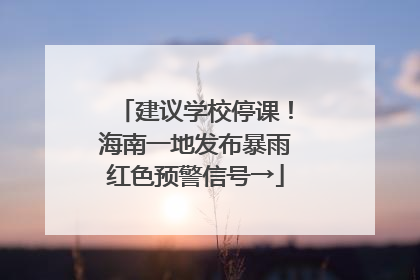 建议学校停课！海南一地发布暴雨红色预警信号→