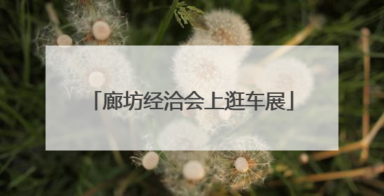 廊坊经洽会上逛车展