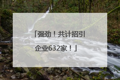 强劲！共计招引企业632家！