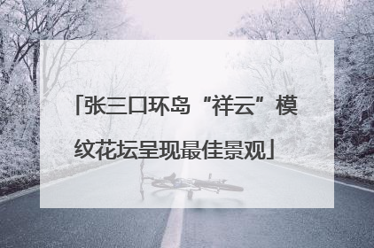 张三口环岛“祥云”模纹花坛呈现最佳景观