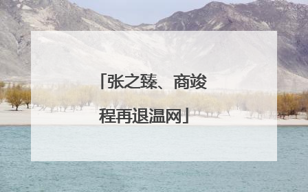 张之臻、商竣程再退温网