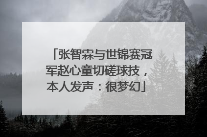 张智霖与世锦赛冠军赵心童切磋球技，本人发声：很梦幻
