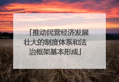 推动民营经济发展壮大的制度体系和法治框架基本形成