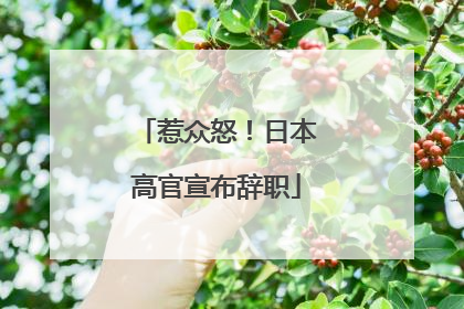 惹众怒！日本高官宣布辞职
